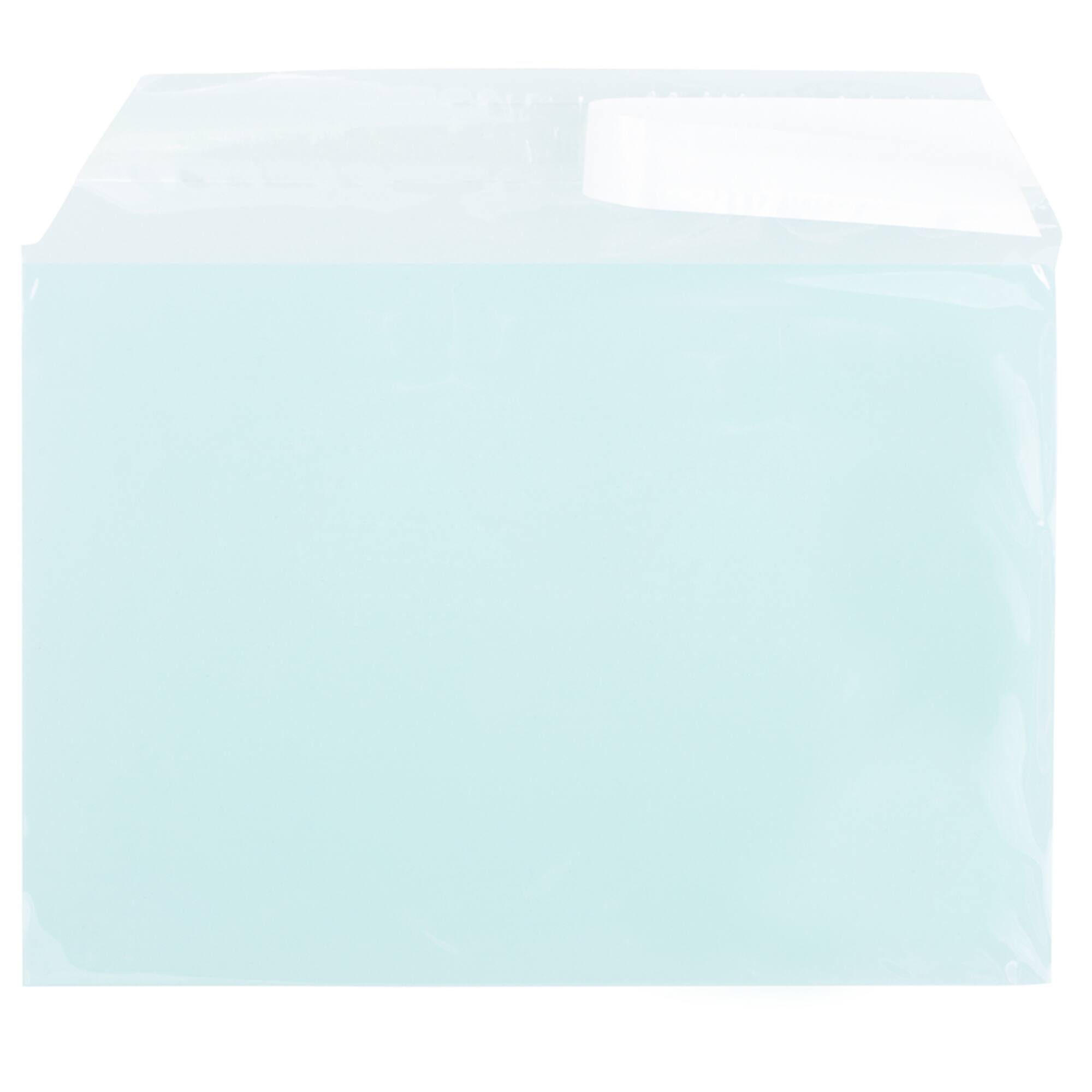 JAM Paper 5.063" x 7.188" Cello Sleeves with Self Adhesive Closures